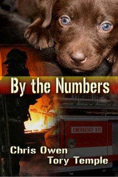 Cover By The Numbers (eBook, ePUB)