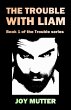 The Trouble With Liam (eBook, ePUB) - Bild 1