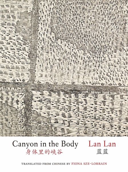 Canyon in the Body (English and Simplified Chinese) (eBook, PDF)