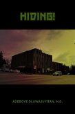 Hiding! (eBook, ePUB)