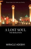 A Lost Soul: The Revelation (eBook, ePUB)