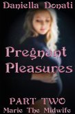 Pregnant Pleasures - Part 2: Marie The Midwife (eBook, ePUB)