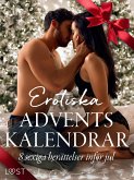 Erotiska adventskalendrar - 8 sexiga berättelser inför jul (eBook, ePUB)