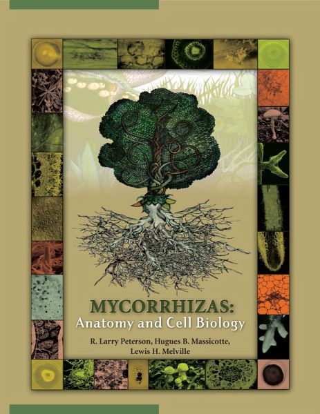 Mycorrhizas (eBook, PDF)