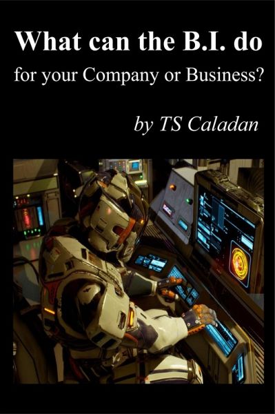 What can the B.I. do for your Company or Business (eBook, ePUB) What can the B.I. do for your Company or Business (eBook, ePUB)