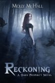 Reckoning (eBook, ePUB) Reckoning (eBook, ePUB)