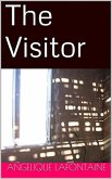 The Visitor (eBook, ePUB)