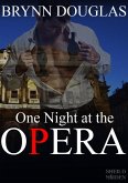 One Night at the Opera (Expat Encounters, #14) (eBook, ePUB)