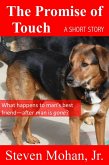 The Promise of Touch (eBook, ePUB)