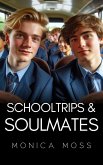 School Trips and Soulmates (The Chance Encounters Series, #79) (eBook, ePUB)