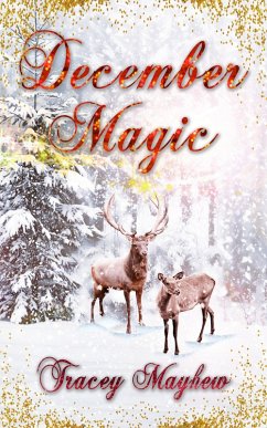 Cover December Magic (eBook, ePUB)
