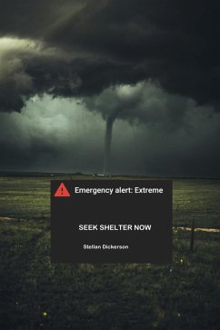 Cover Seek Shelter Now (eBook, ePUB)