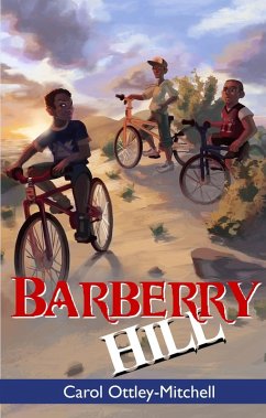 Barberry Hill (eBook, ePUB) - Mitchell, Carol