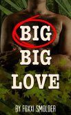 Big Big Love (eBook, ePUB) Big Big Love (eBook, ePUB)