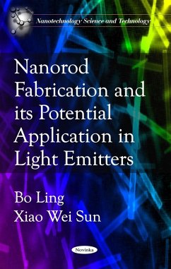 Cover Nanorod Fabrication and its Potential Application in Light Emitters (eBook, PDF)