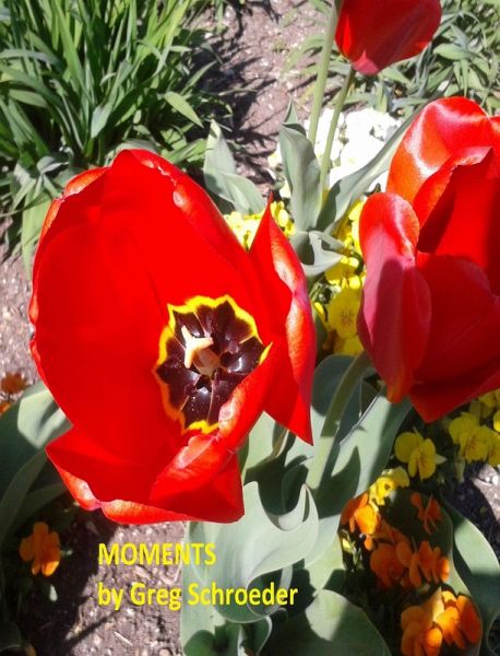 Moments (eBook, ePUB) Moments (eBook, ePUB)