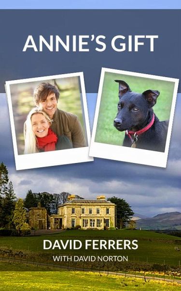 Annie's Gift (eBook, ePUB)