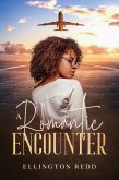 A Romantic Encounter (eBook, ePUB)