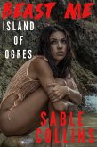 Island Of Ogres (eBook, ePUB)