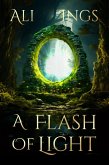 A Flash Of Light (eBook, ePUB)