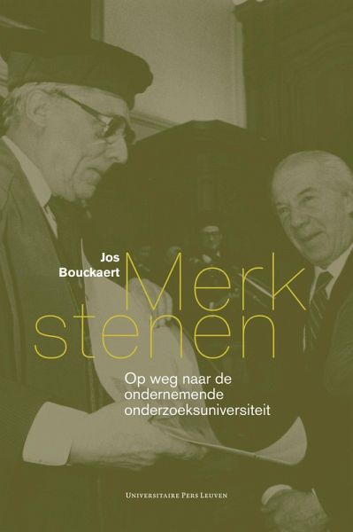 Merkstenen (eBook, PDF)