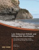 Late Ordovician orthide and billingsellide brachiopods from Anticosti Island, eastern Canada (eBook, PDF) Late Ordovician orthide and billingsellide brachiopods from Anticosti Island, eastern Canada (eBook, PDF)