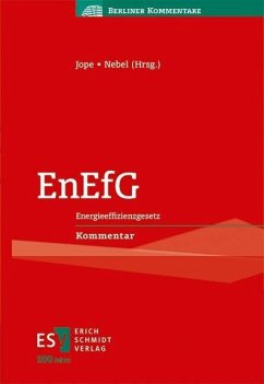 EnEfG (eBook, PDF)