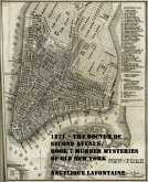 1871 - The Doctor of Second Avenue: Book 7 (Murder Mysteries of Old New York) (eBook, ePUB)
