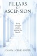 Pillars of Ascension (eBook, ePUB) - Bild 1