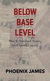 Below Base Level (eBook, ePUB)