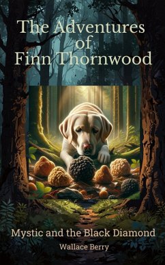 Cover Mystic and the Black Diamond (The Adventures of Finn Thornwood, #1) (eBook, ePUB)