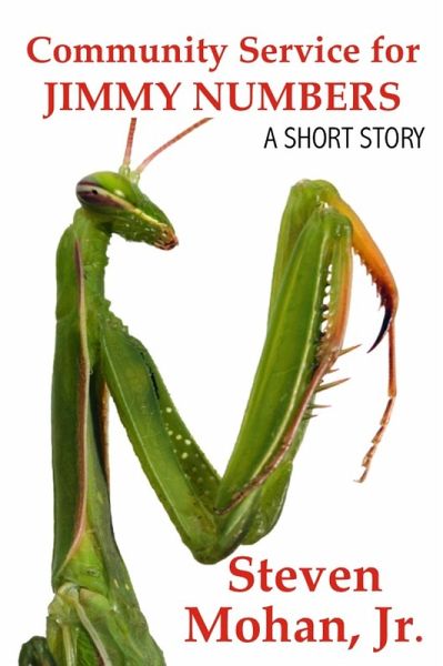 Community Service for Jimmy Numbers (eBook, ePUB)
