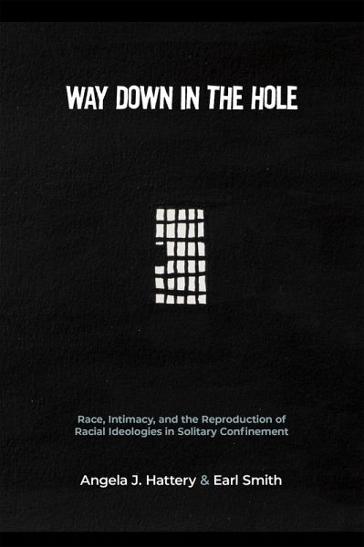 Way Down in the Hole (eBook, PDF)