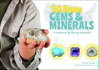 The 50 State Gems and Minerals (eBook, ePUB)