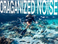 Cover Organized Noise (eBook, ePUB)