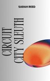Circuit City Sleuth (eBook, ePUB)