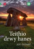 Cyfres Amdani: Teithio drwy Hanes (eBook, ePUB) Cyfres Amdani: Teithio drwy Hanes (eBook, ePUB)