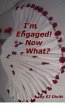 I'm Engaged! Now What? (eBook, ePUB) - Bild 1