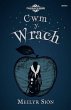Chwedlau'r Ddraig: Cwm y Wrach (eBook,... - Bild 1