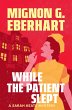 While the Patient Slept (eBook, ePUB) - Bild 1