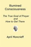 Illumined Consciousness: The True Goal of Prayer and How to Get There (eBook, ePUB)