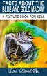 Facts About the Blue and Gold Macaw (A... - Bild 1