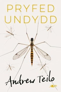 Cover Pryfed Undydd (eBook, ePUB)