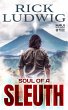 Soul of a Sleuth (A MAUI MYSTERY, #3)... - Bild 1