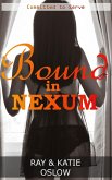 Bound in Nexum (eBook, ePUB)