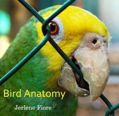 Cover Bird Anatomy (eBook, PDF)