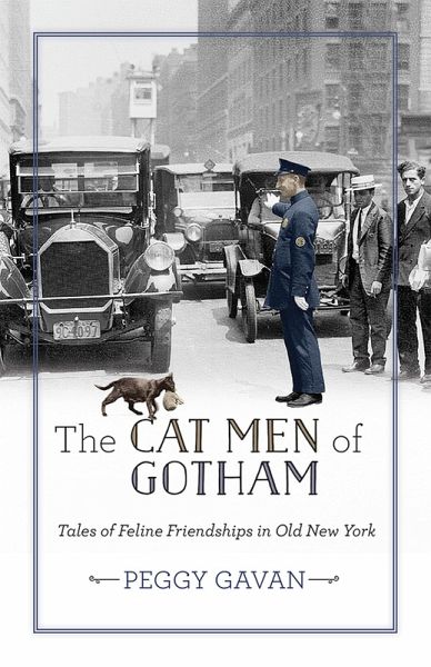 Cat Men of Gotham (eBook, ePUB)