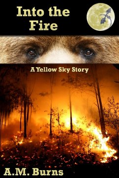 Cover Into the Fire (eBook, ePUB)