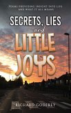 Secrets, Lies and Little Joys (eBook, ePUB)