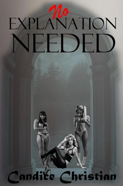 No Explanation Needed (eBook, ePUB) No Explanation Needed (eBook, ePUB)